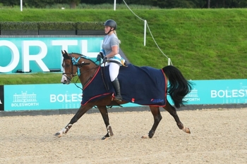 Righteous is the National 7 year-old Champion Righteous is the National 7 year-old Champion